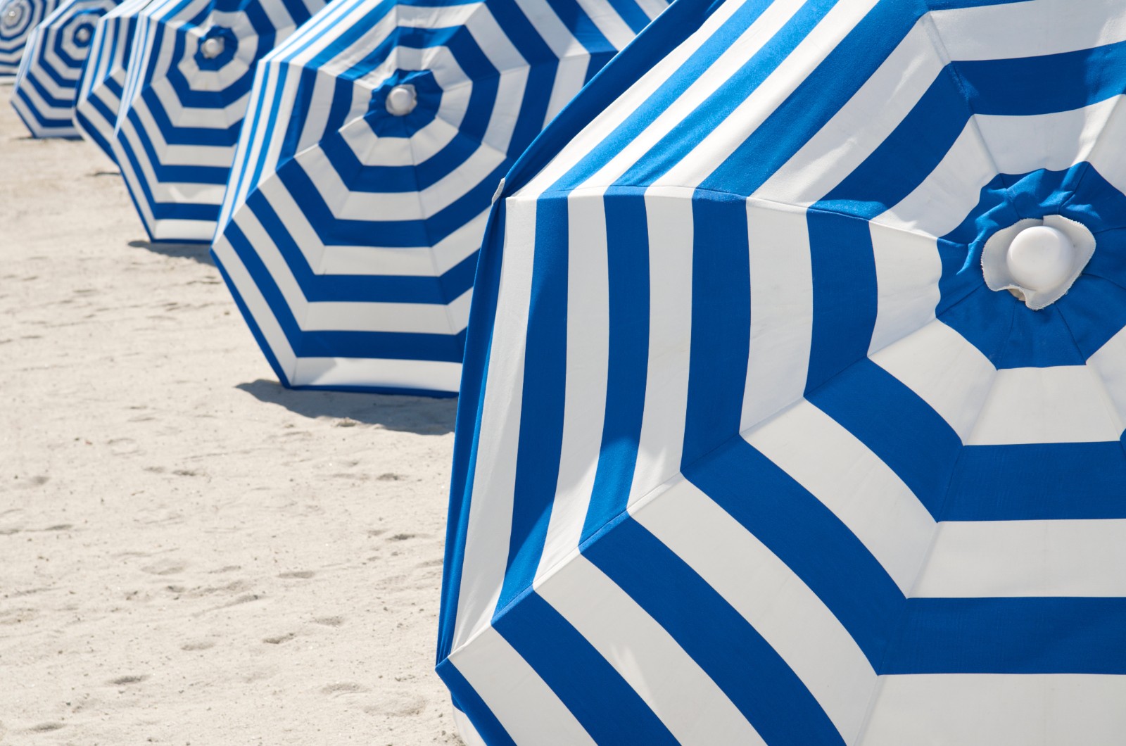 Bright blue and white striped beach umbrellas in a row on the Florida beach.