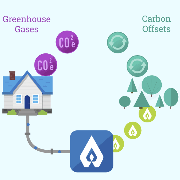 Green e-climate animation showing relationship between FNG's carbon offsets and greenhouse gasses.